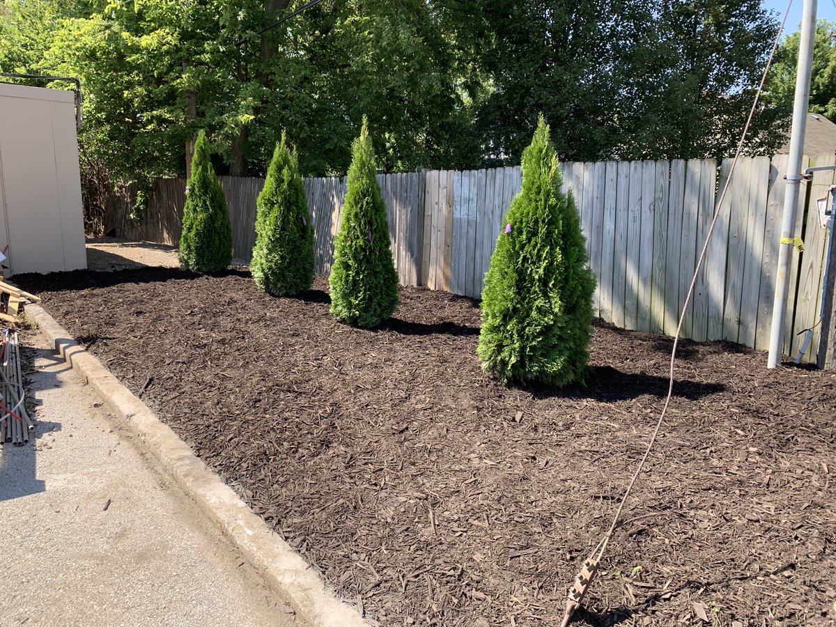 imospizzakc's tweet photo. Fresh paint job, fresh parking lot, fresh landscaping. Lot of work left to do, but it’s coming together! #FeelingFresh https://t.co/8vqbwvSL75