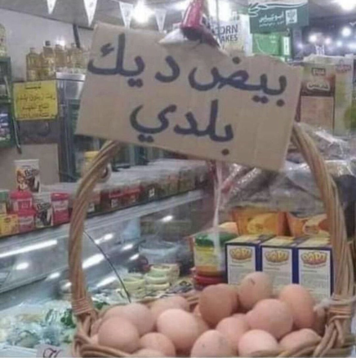اخر خبرية عن شهر ايلول ال ٢٠٢٠: الديك ببيض 🤦‍♂️