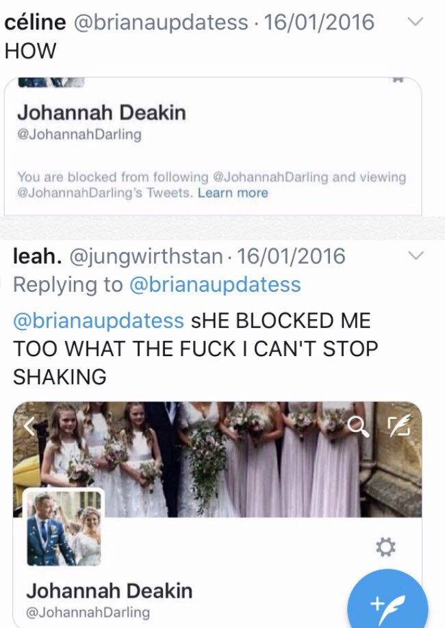 WHY WOULD YOU BLOCK THEM. SHE WAS JUST POSTING ABOUT BANAN- nowait-BRIANA.  i swear, your larry ship is nothing BriLou. Or what's the name.