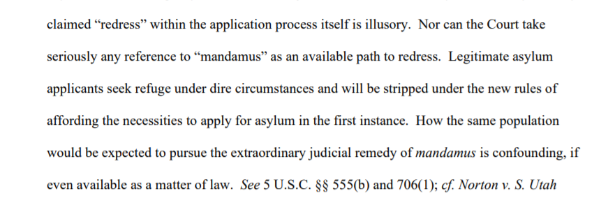 On the issue of harm, Judge Xinis rightfully rejected the government's absurd claim that excessive delays in work authorization could be solved by mandamus lawsuits rather than setting aside the rule. I mean, come on.