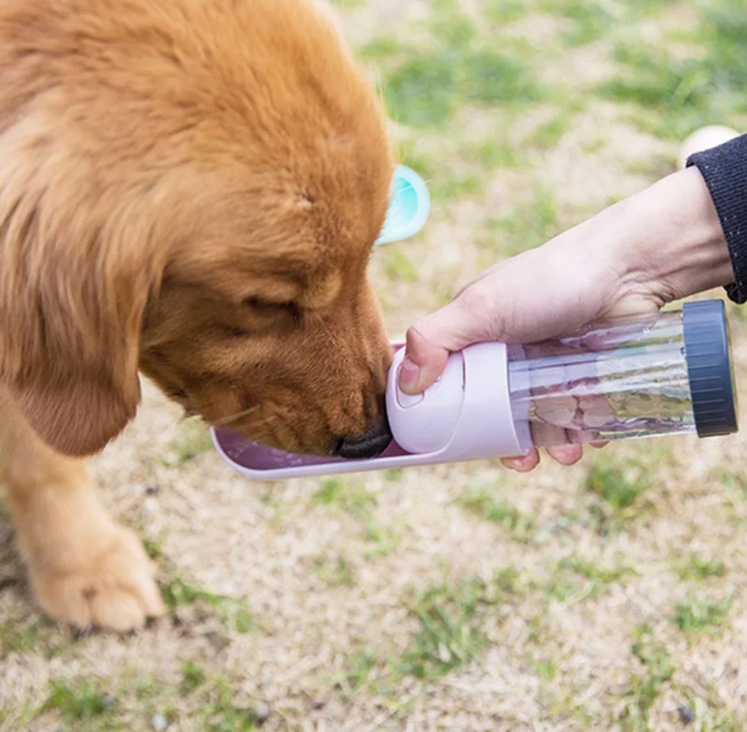 DogBottles's tweet photo. @dodo Portable Dog Water Bottle! Perfect gift on a hot summer day!

  🚚 💨 Guaranteed delivery (4-7 Business Days)

USE CODE DOG10 FOR 10% OFF 

https://t.co/3cLwS4Jrzu https://t.co/jeFU4KZ4Rs