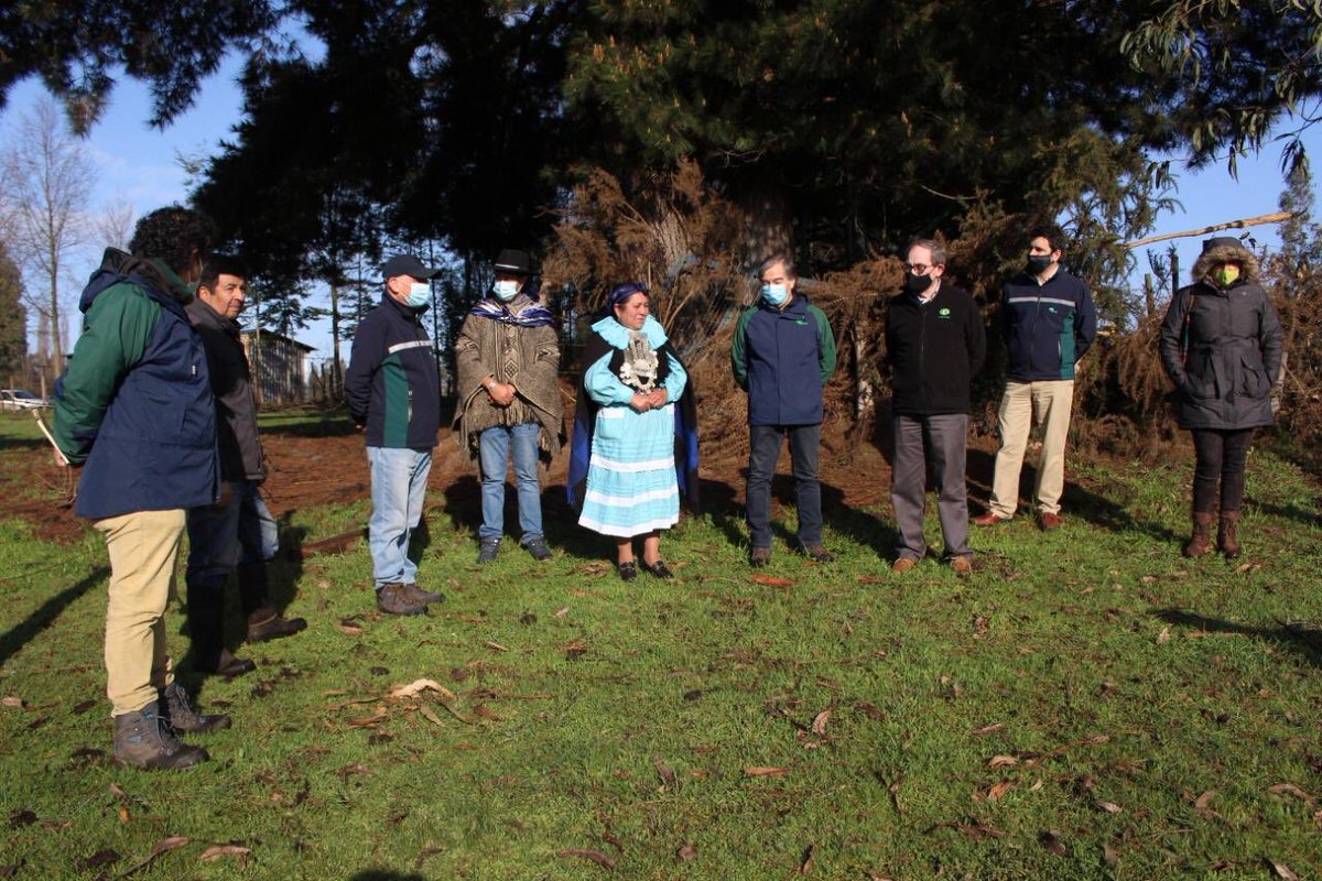 Instituto Forestal tweet media
