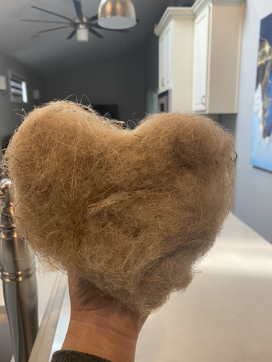 Ashoorina's tweet photo. #BastCore has been consistently pursuing the creation of better fiber from the bast & developing usages for the core of the stalk. They’re dedicated to accelerating the conversion of hemp from a plant to a product for the benefit of the planet. #Hemp straight from their factory.. https://t.co/9mB3rENWHh