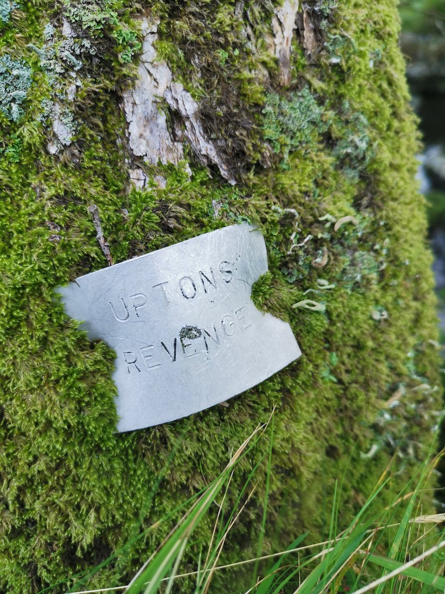 SophieAmandaH's tweet image. So we came across a plaque on a tree in #Dartmoor (in the middle of a little river island) and I wondered if anyone knew what it was about? It says 'Uptons Revenge'.