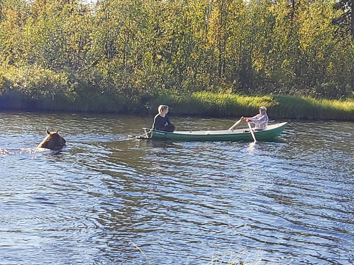 LauriJskelinen1's tweet photo. Jälkikäteen voisi sanoa, että Vilahuksesta oli viimeistelytipsi. Hienolle Aikion perheelle onnittelut. #ravit https://t.co/XxoS9CB7ph