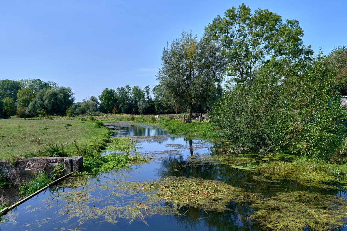 PeetermansRudi's tweet photo. 12 september 2020 15h. #Avennes dorp en Moulin de Velupont aan de #Mehaigne. #wandelen #Ravel L127 https://t.co/f6DUOkeBHR
