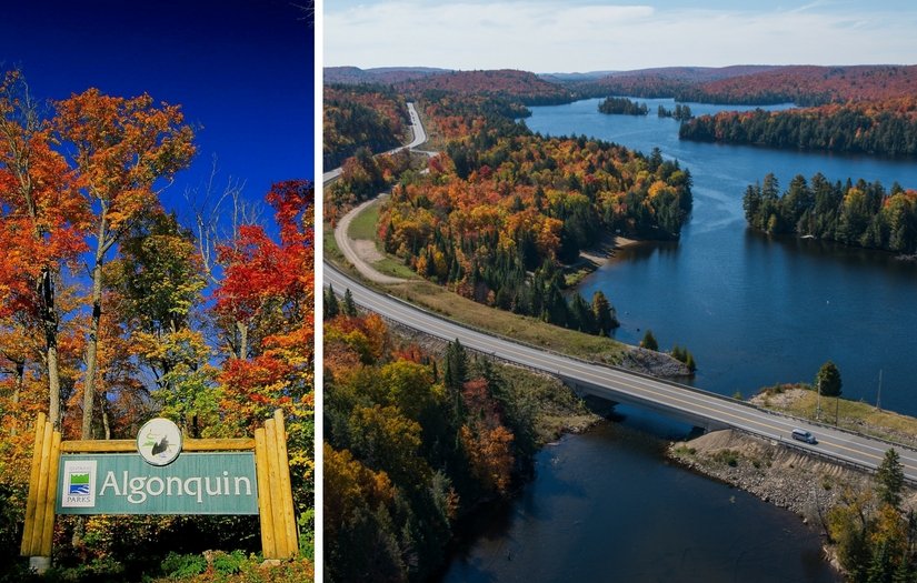 algonquinoutfit's tweet photo. #AlgonquinFallColours are breathtaking to behold.
But clearly, our secret’s out.
@OntarioParks has compiled answers to the most commonly asked questions about experiencing #FallColours at #Algonquin. Here’s our best advice for a smooth, memorable trip: https://t.co/rclc7jmpds https://t.co/HdsQy1QYYd