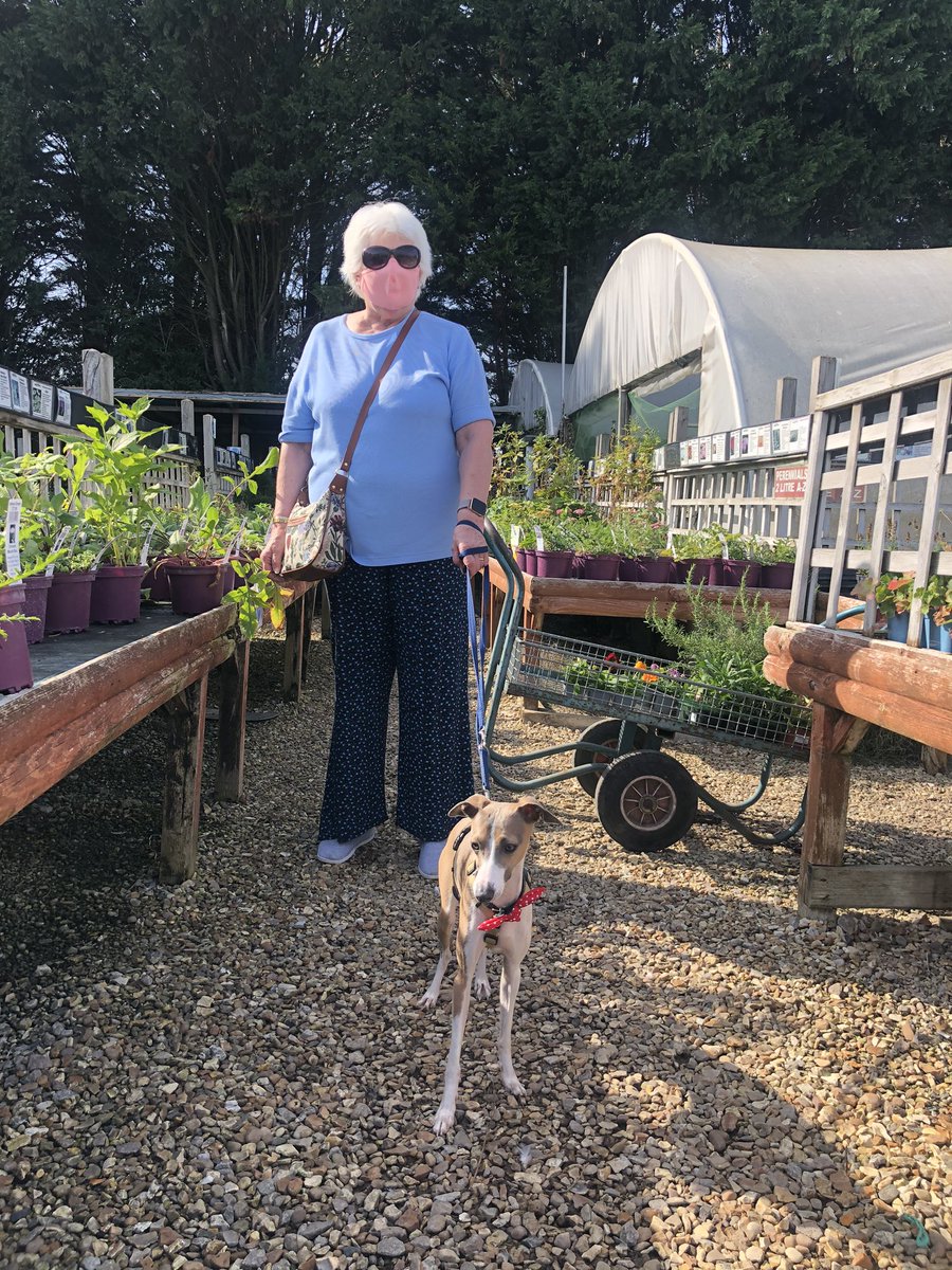 KWHPublishing's tweet photo. @butchersdogfood @Big_DogWalk Chico is somewhat of a #lockdownpup who is now getting out beyond the countryside walks & experiencing the wider world. The countryside saved both our sanities this spring & summer!
He is currently raising money for @dotslondon by 👣🐾 the #WorldBigDogWalk this September. https://t.co/MKSCTXQXCV