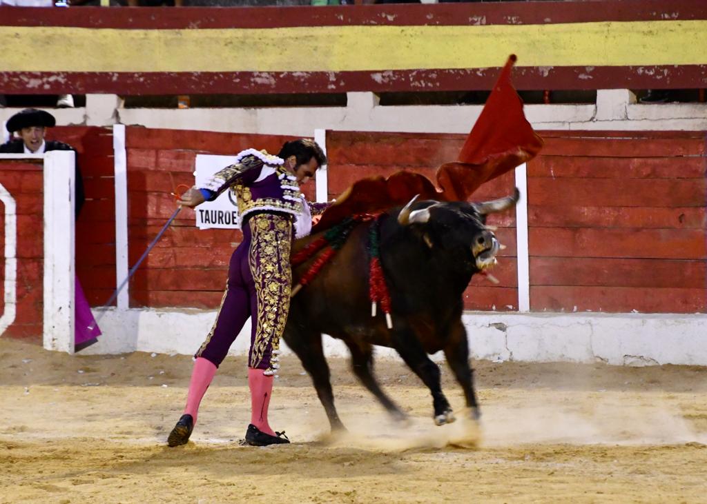 TorosBaza's tweet photo. 🏟 𝗗𝗶𝗿𝗲𝗰𝘁𝗼 | 5️⃣ @DFelFandi, dos orejas. 
🐂 “Nubloso-52”, de Román Sorando, ovación. https://t.co/C5cSswcGk8