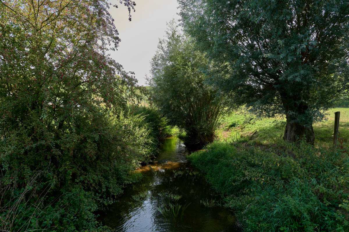 PeetermansRudi's tweet photo. 12 september 2020 De #Mehaigne tussen #Avennes en #Braives. #Ravel L127 #wandelen https://t.co/YOwFo7oY8I