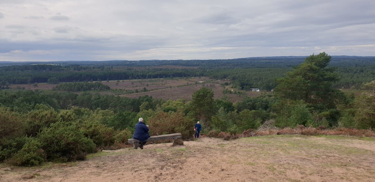HMMHSFrensham's tweet photo. @MHSFrensham is blessed with inspirational countryside in the #SurreyHills #AONB. Rosie-dog recently explored the #Devilsjumps and #TheFlashes close to Churt Common, walking from school. @isaschools @ArkellDyslexia @CReSTeDDyslexia #SpLD #DLD @MHSWellbeing #neurodiversity https://t.co/tJOF1ACghG