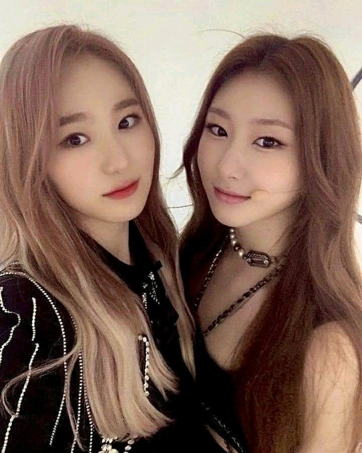 LisaismyLifeBro's tweet photo. ¿Cual fue su momento mas clown?.
-
-
-
Yo pensaba que Chaeyoung,Chaeyeon y Chaeryeong eran hermanas 
Ser clown is my passion https://t.co/9a7hcjyhCj