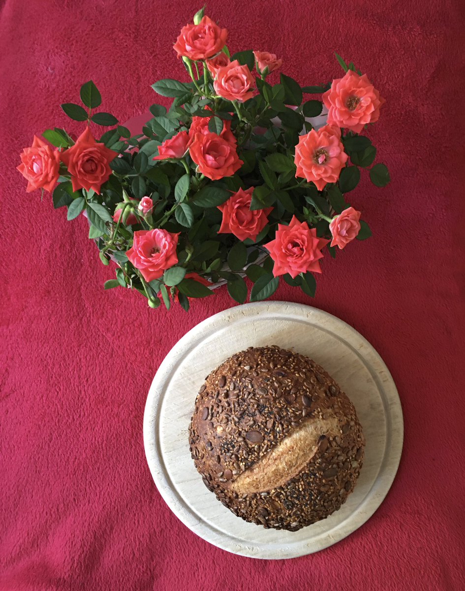 Looking forward to this <a href="/sheffield_hods/">Sheffield Heritage Open Days</a> <a href="/orgreavejustice/">Orgreave Justice</a> event 17 Sept otjc.org.uk/sheffield-heri… #music #art &amp; #activism #breadandroses a fantastic lineup of participants