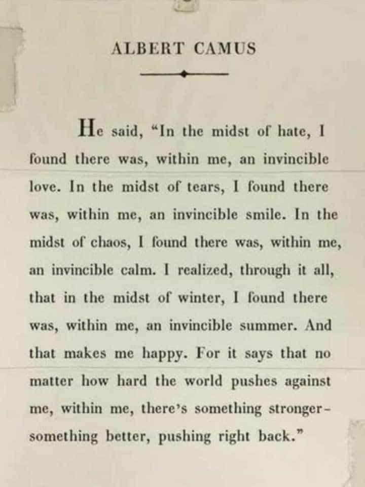 Dr. Kristin Anderson tweet media