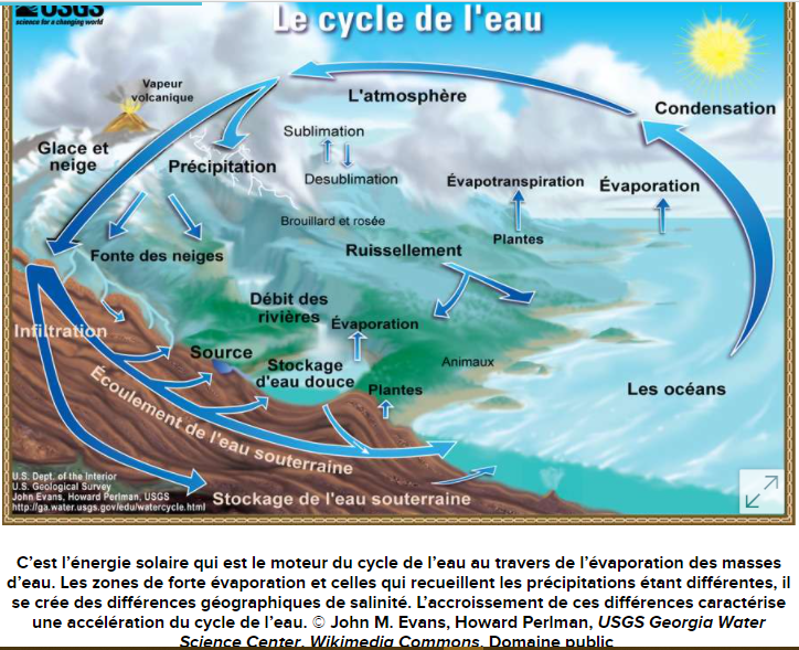 OlivierOli7's tweet photo. Le Cycle de l’#Eau
Le réchauffement climatique accélère le cycle de l’eau
-> https://t.co/JSER4GByNa
#ClimateChange
#webExplorer #Science https://t.co/gnN5Yrlwl0