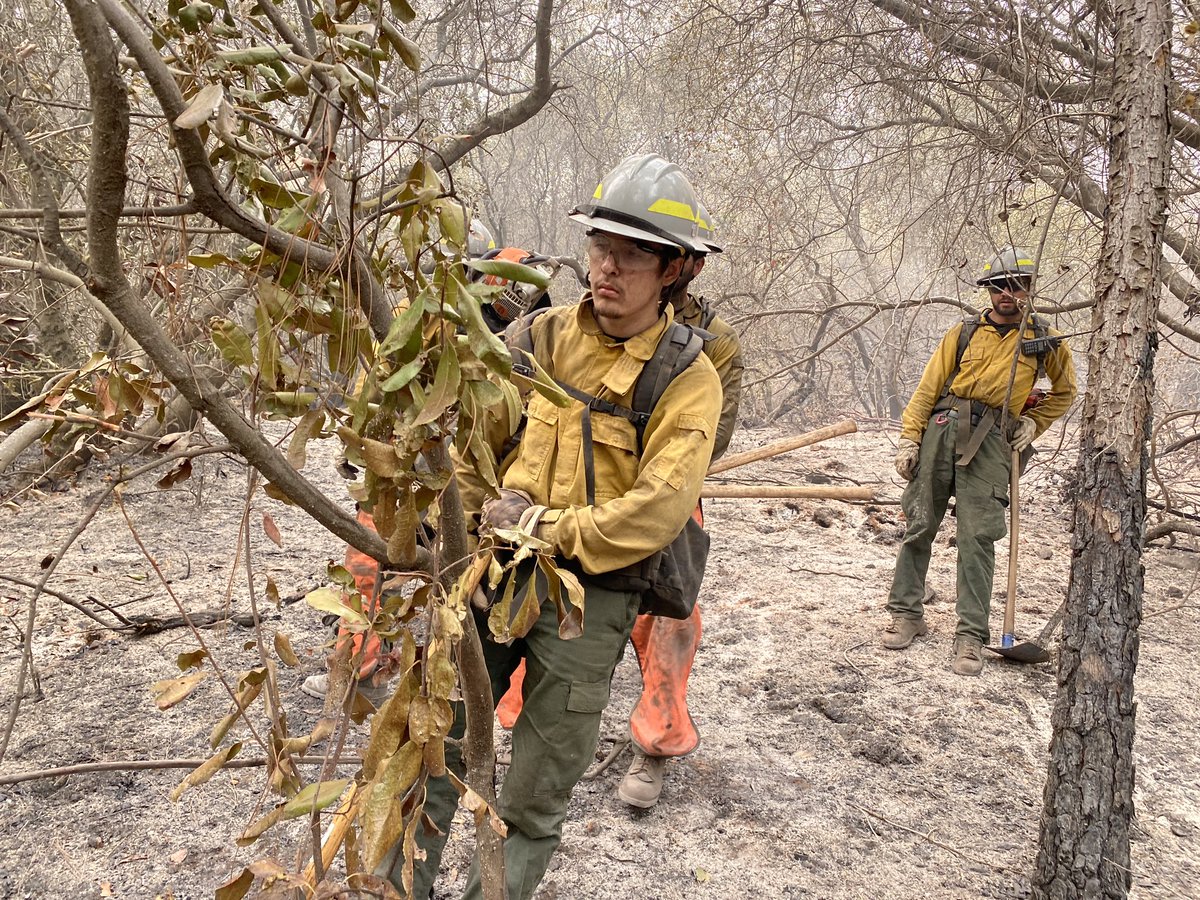 stuartpalley's tweet image. Shout out to all the firefighters, including federal, state, local, inmate, CCC, and military crews out there working hard to contain these fires. In the dirt for weeks with little rest. #CAFire
