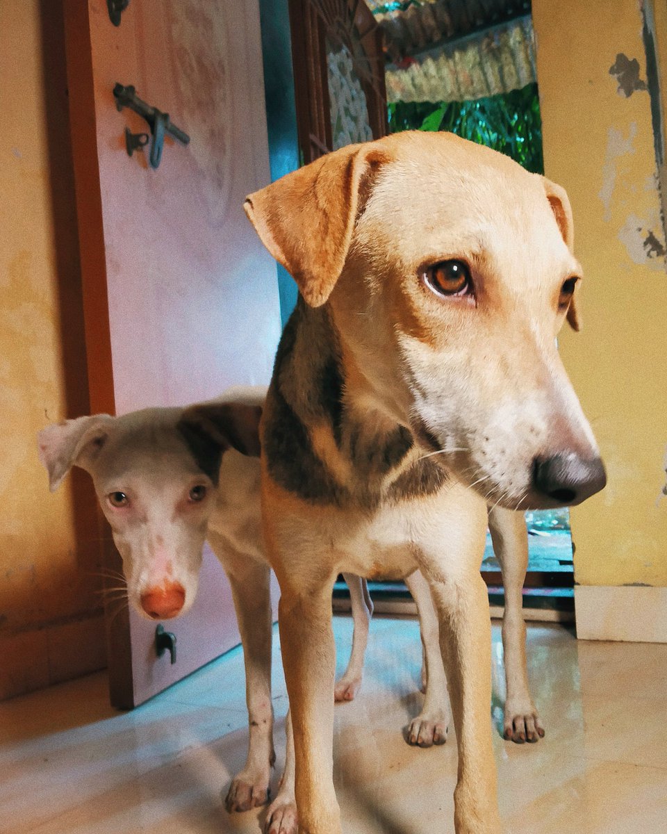 Cheonbeats's tweet image. Looks like a movie poster shot xD