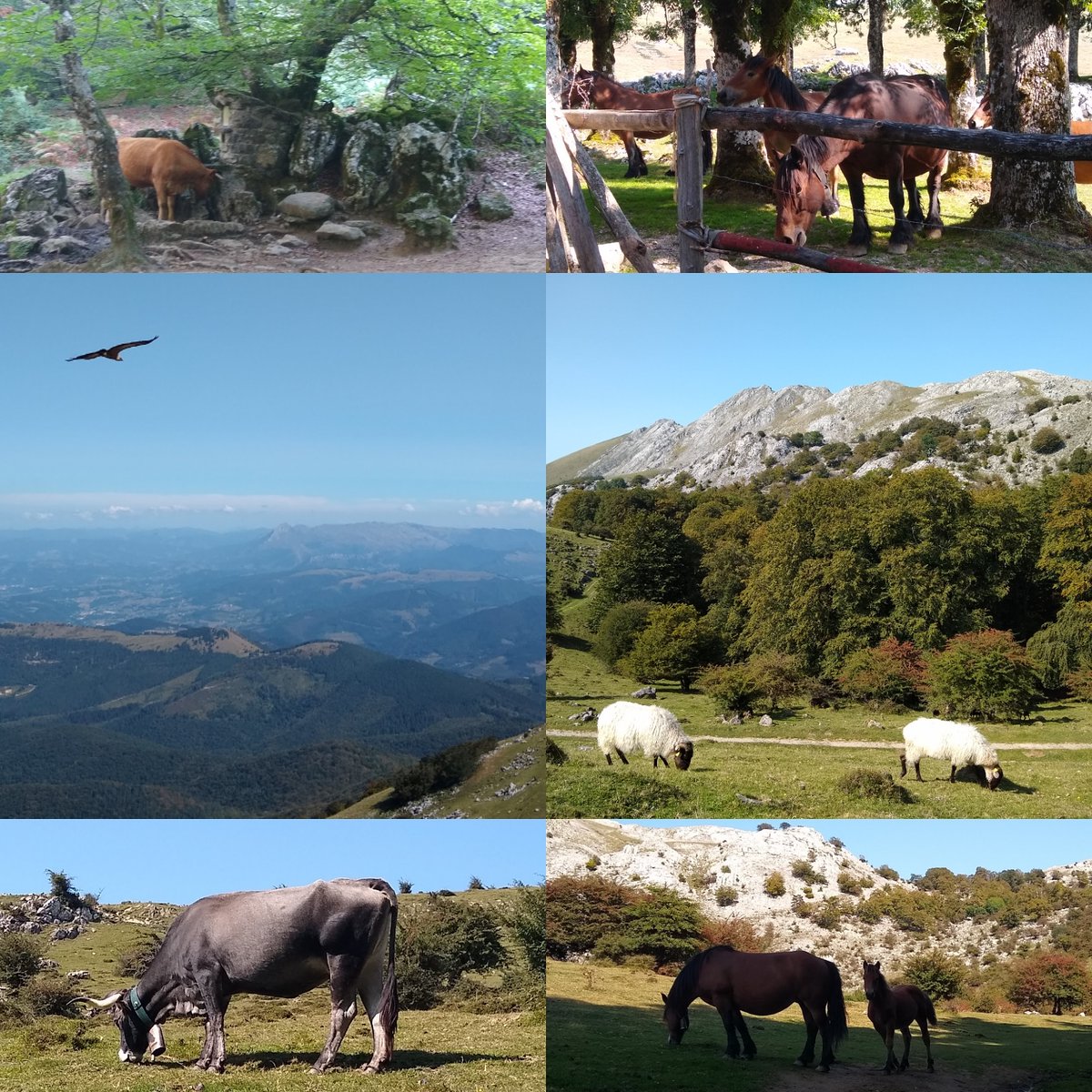 SusanaArrese's tweet photo. Beste egun zoragarri bat Oñatin / Enjoying another awesome day in Oñati @onaticommunity
#Oñati #Urbia #Enaitz #Artzanburu #Biozkorna @turismo_vasco @debagoiena @GipuzkoaTurismo https://t.co/tohgKyHmra