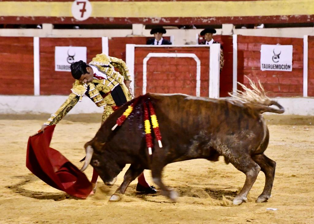 TorosBaza's tweet photo. 🏟 𝗗𝗶𝗿𝗲𝗰𝘁𝗼 | 6️⃣ @EmiliodeJusto, ovación. 
🐂 “Impecable-63”, de Román Sorando, palmas. https://t.co/ge2Xqf8eNo