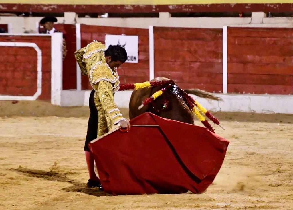 TorosBaza's tweet photo. 🏟 𝗗𝗶𝗿𝗲𝗰𝘁𝗼 | 6️⃣ @EmiliodeJusto, ovación. 
🐂 “Impecable-63”, de Román Sorando, palmas. https://t.co/ge2Xqf8eNo