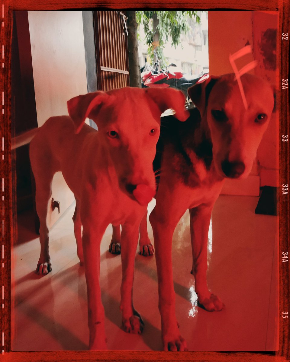 Cheonbeats's tweet image. This 2 cuties (◍•ᴗ•◍)❤