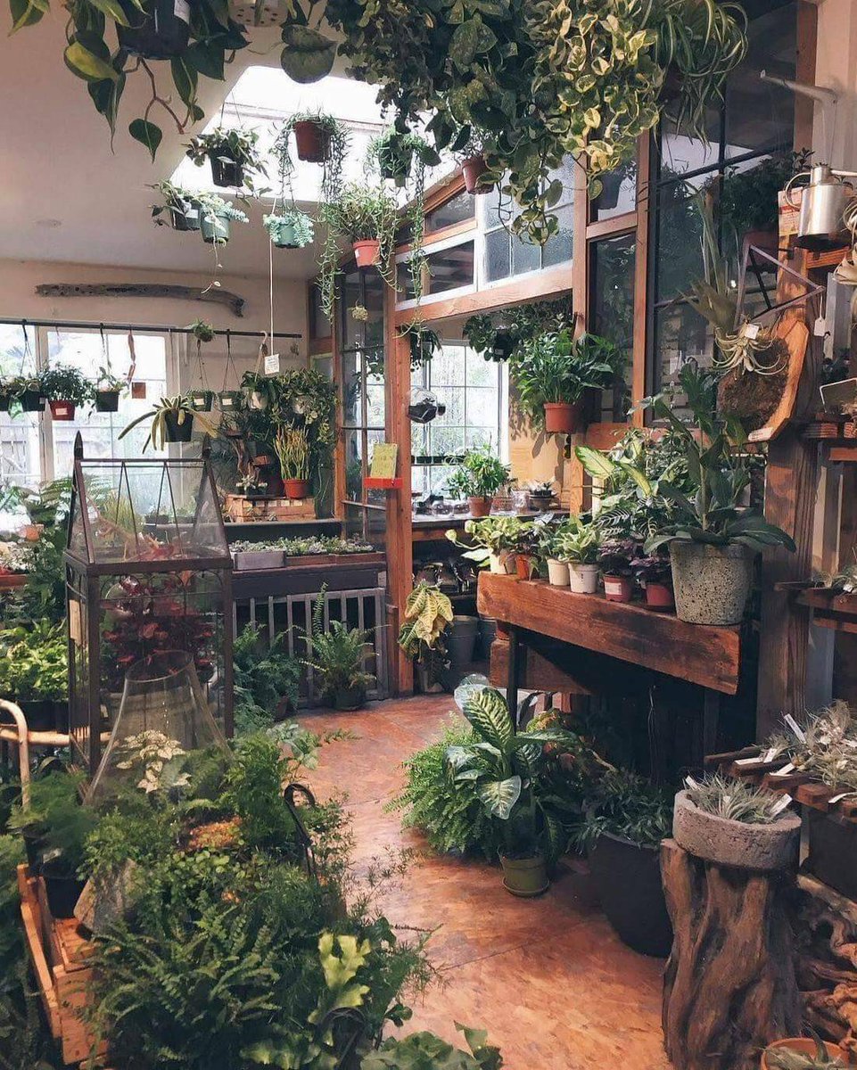 climapod's tweet photo. ❗ Greenhouse Kits Using Ideas
#climapod #greenhouse #sunroom #sunparlor #ideas #flowering #design #climaorb #conservatory #greenery #glasshouse https://t.co/6cereagkmE