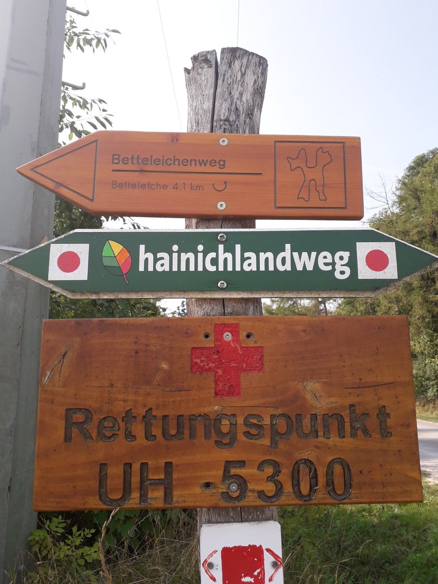 icelandfreundin's tweet photo. Von #Langula bis zur #Betteleiche folgte ich dem #Hainichlandweg, der zugleich auch den #Waagebalkenweg und #FahnerHöhenHainichweg aufnimmt, dann bis zur Jugendherberge Urwaldlifecamp #Bummelkuppenweg, das letzte Stück wieder #Hainichlandweg. Die Markierung ist gut. https://t.co/Q1g5WzKMBR