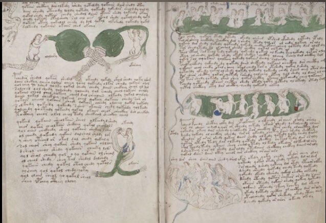 Le manuscrit de Voynich est un livre anonyme. La particularité de ce livre est qu’il a été rédigé dans une écriture à ce jour non déchiffrée et une langue non identifiée. Le manuscrit a été découvert en 1912 à Rome  dans une bibliothèque d’une communauté jésuite.