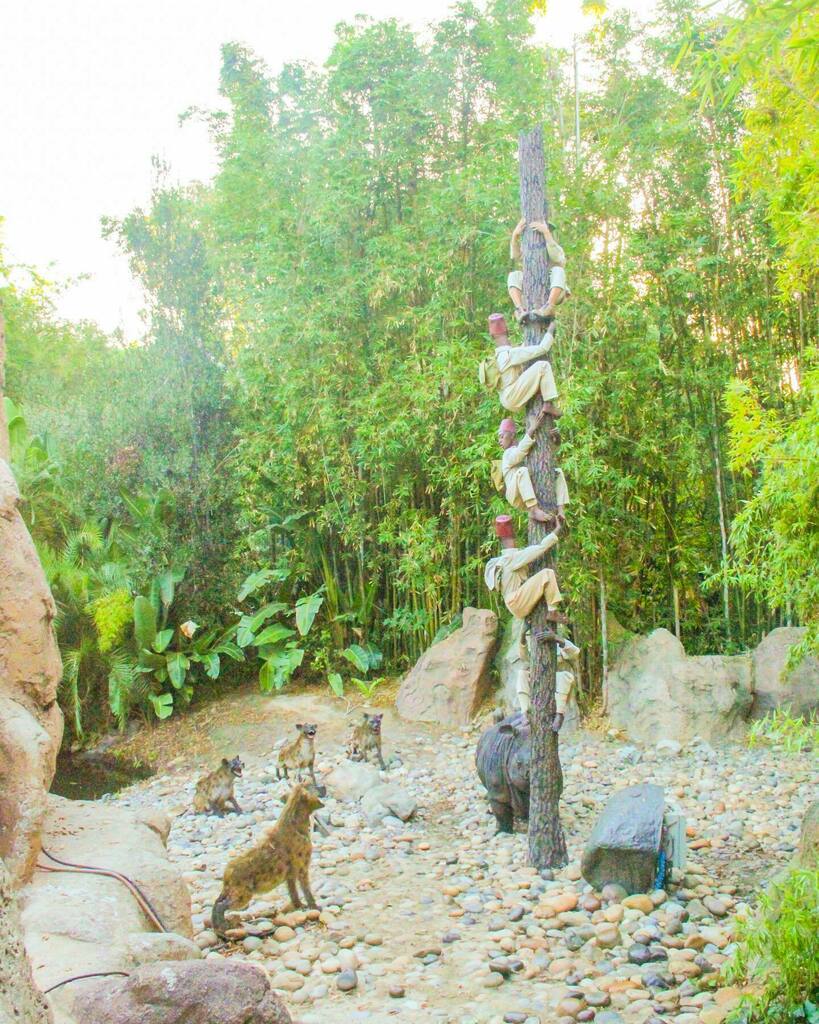 mrdaps's tweet photo. Remembering a very early morning getting a different perspective on the Jungle Cruise! 
•••
#junglecruise #sunrisesafari #disneyland #disneyphoto #disneyphotography #disneyphotographer #adventureland #disney #disneyday #disneymemories #safari #disney… https://t.co/RbXUYfhSuW https://t.co/xl9OslwYbV
