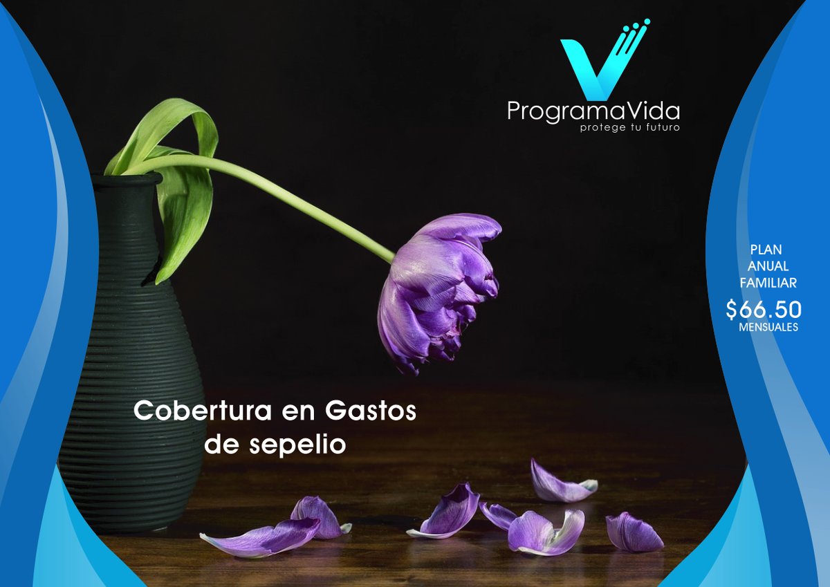 VidaPrograma's tweet photo. Es normal considerar como una prioridad los posibles gastos en que incurrirá nuestra familia cuando ya no estemos, con tu plan Programa Vida tienes cobertura en gastos de sepelio. #Salud #Ecuador #COVID19ec https://t.co/MYfCCLo1jT