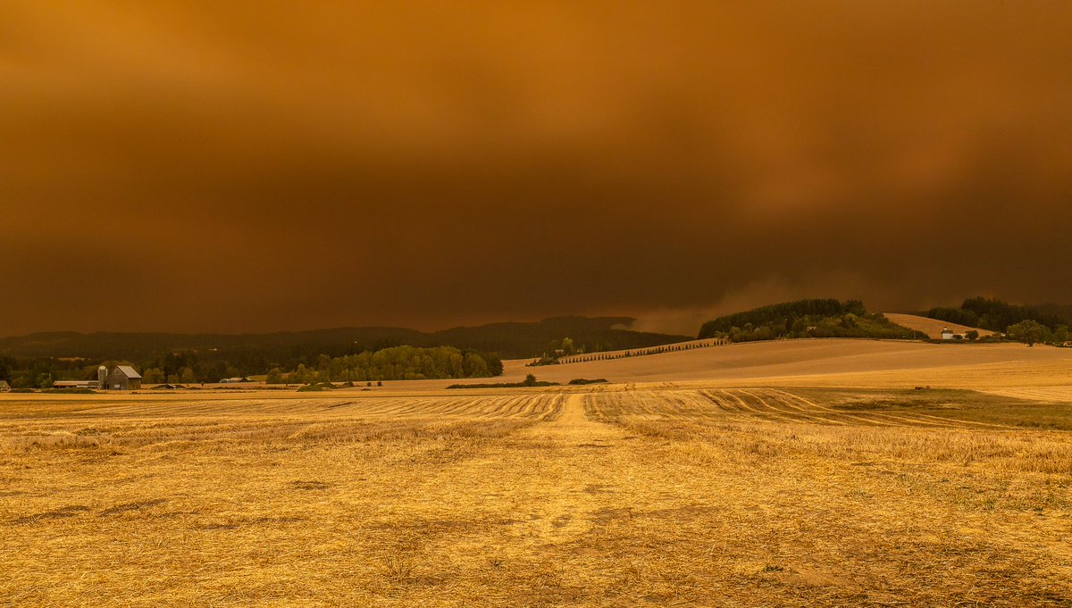 My family has a house in Northridge, CA and we’ve kind of come to expect September – November to be pretty shitty. And thanks to  #ClimateChange, we’re not even really surprised when fires show up outside of that season. But  #OregonWildfires2020 have disturbed us beyond measure.