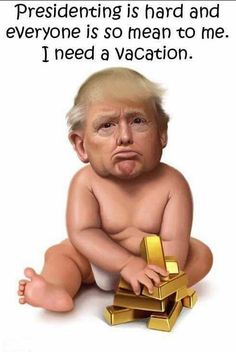 TeriMcGill's tweet photo. @realTuckFrumper 🤣🤣🤣🤣🤣🤣🤣🤣🤣🤣🤣
#DementiaDon #Pandumbic #1TermTrump
#LowIQ #LIAR #LiarInChief #LiarLiar
#TooStupidToBePresident
#TooCorruptToBePresident
#TooDumbToBePresident
#TooArrogantToBePresident
#TooIgnorantToBePresident
#TooIlliterateToBePresident
#TooIncompetentToBePresident https://t.co/94YYPAkHqz