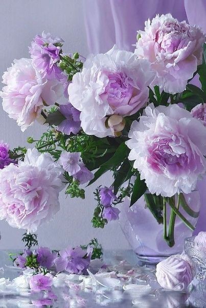 3D2023's tweet photo. Good afternoon 💜💜💜 https://t.co/QEJ2C7nxWR