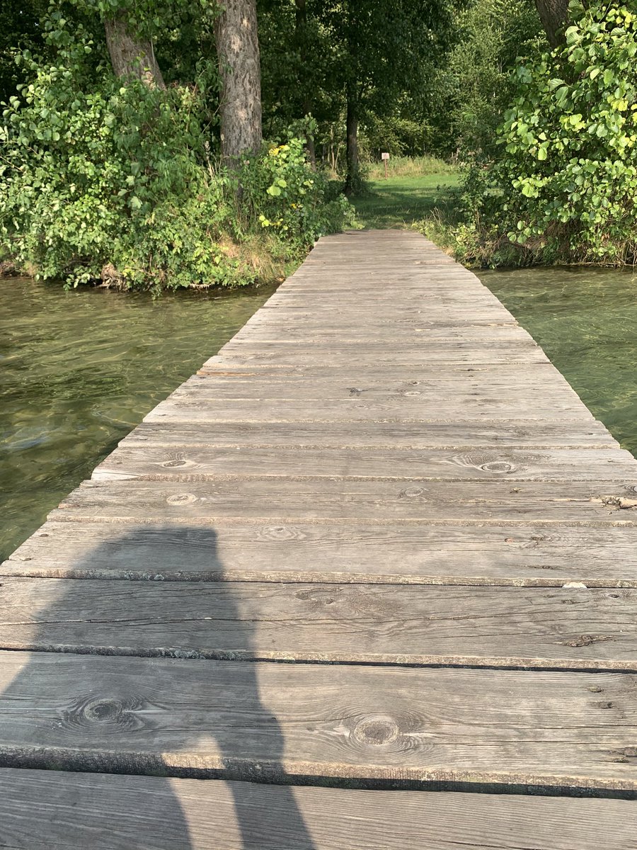 teodor_dziadek's tweet photo. #lubuskie #Poland #lake #dragonfly #Lagow #rest #Reading #book #dog #Summer2020 #traqulity #afterhardwork 22.09.2020 godz.15.15 25C. 🦋🌺 https://t.co/XQacoB4Wup