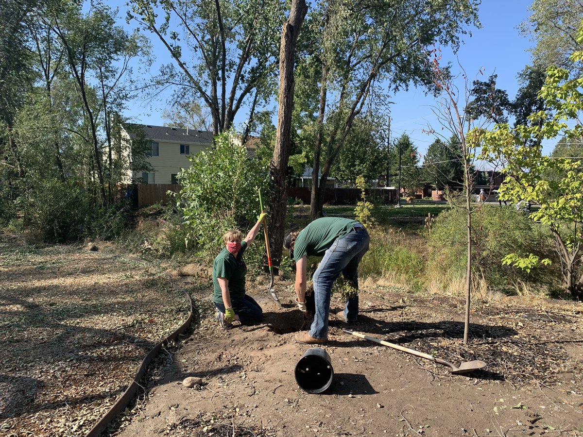 Mr_MikeParker's tweet photo. Spent the morning with my colleagues from @IvoryHomes and @TreeUtah in Fitts Park in @southsaltlake planting over 100 trees π² and helping cleaning up from the windstorm. Love working with great people and partners to build community. #utpol #30ktrees https://t.co/oXpWDr1ul3