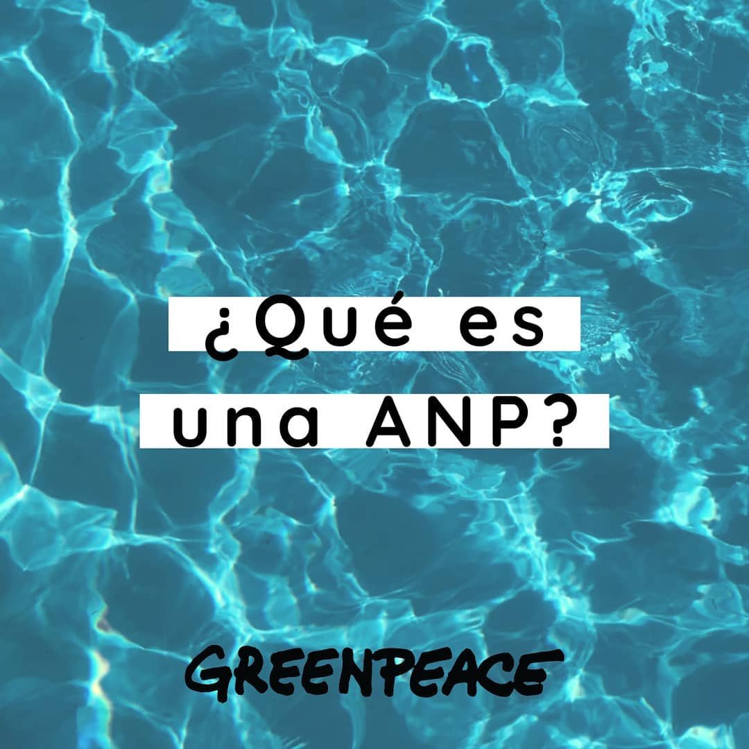 LFdCesmas's tweet photo. #ANP (área natural protegida) es una zona no modificada por la acción del hombre, y protegida por el Estado y/u organizaciones privadas.
Cuidémoslas y fomentemos que cada vez sean más los tesoros naturales de nuestro 🌍 declarados ANP💚
@AlejandroSanz 
@greenpeacemx https://t.co/0ZHr4rrCI9