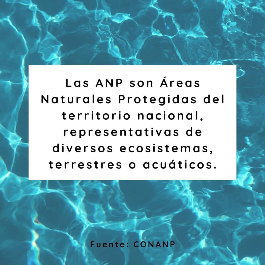 LFdCesmas's tweet photo. #ANP (área natural protegida) es una zona no modificada por la acción del hombre, y protegida por el Estado y/u organizaciones privadas.
Cuidémoslas y fomentemos que cada vez sean más los tesoros naturales de nuestro 🌍 declarados ANP💚
@AlejandroSanz 
@greenpeacemx https://t.co/0ZHr4rrCI9