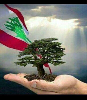 f_hikmat's tweet photo. #خربشات_على_تويتر
#وطني_حبيبي
راح ضل كل يوم
يا وطن غنيك
واكتب حكاياتك
وللدني احكيك
اسقي ارزاتك
وكفكف دمعاتك
واحلف وحياتك
وبالروح راح افديك
ع خدي انشفت دمعة
هي دمعة الشمعة
الضويتها الجمعة
بهالليل لتضويك https://t.co/mGmNzCKGYR