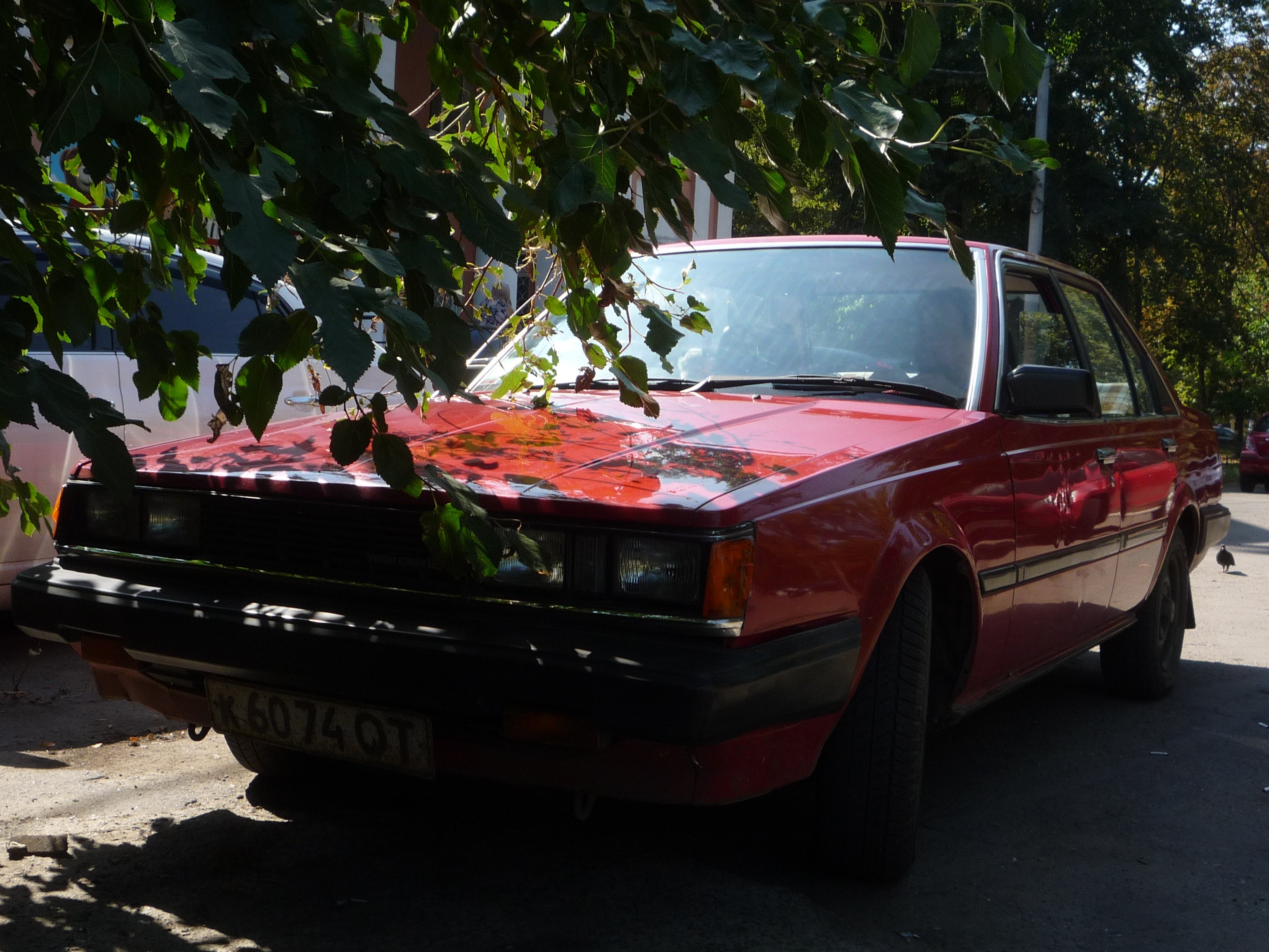 Зображення