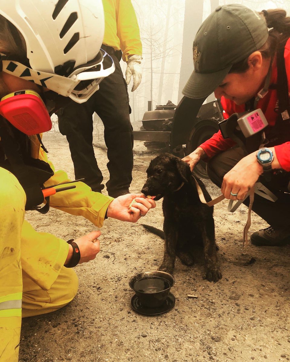 ButteSheriff's tweet image. 