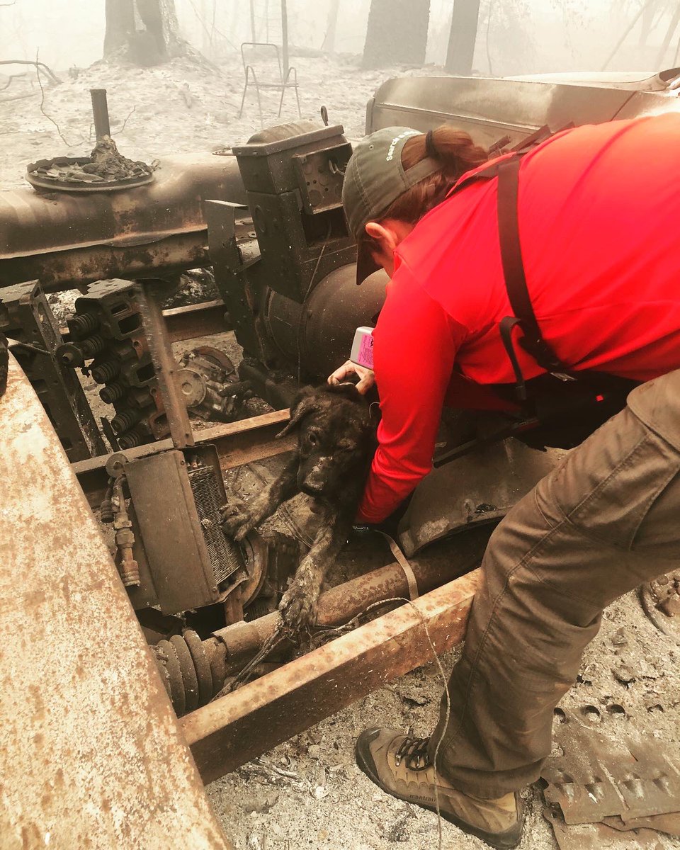 ButteSheriff's tweet image. 