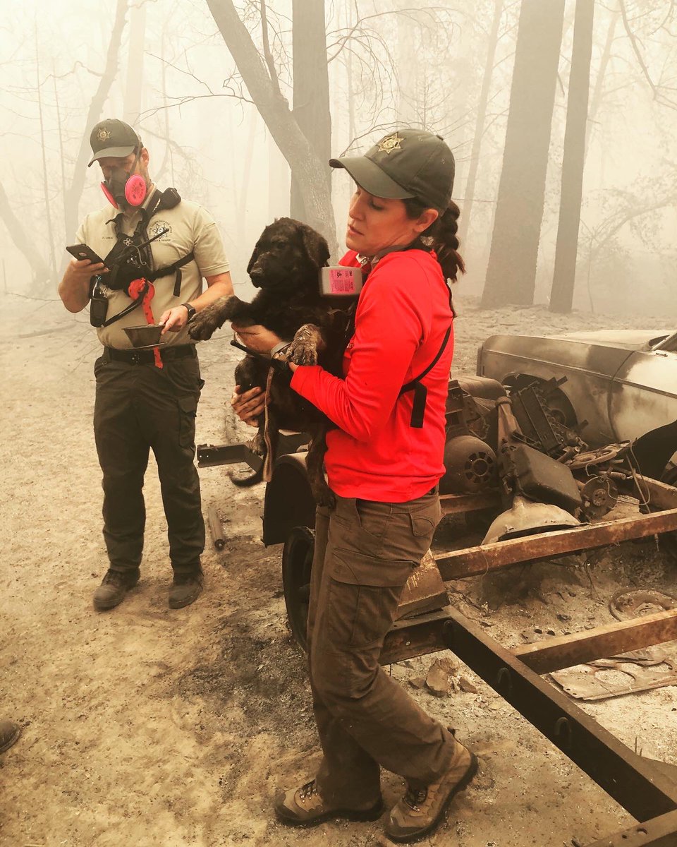 ButteSheriff's tweet image. 