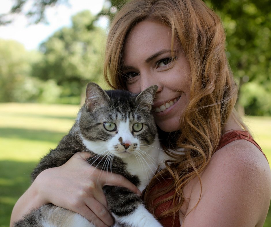 AmServicePets's tweet image. When a cat flops over and exposes his belly, it’s not always an invitation for a belly rub. A cat does this when he’s relaxed and showing trust. #catfacts #cat #kitten #trust #relaxed #loved