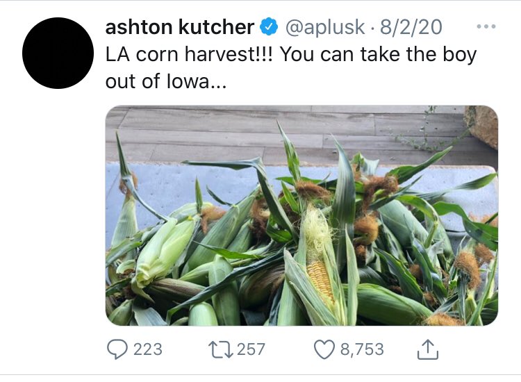 2) Kutcher has always been suspect•Iowa boy gets discovered in a bar (by the same ppl as Kloss) •Successful NYC model•Hollywood ‘it’ guy, makes  $BANK$•A ‘sudden’ SV tech investor, makes huge  $BANK$•Thorn becomes an ‘it’ charityOh look, corn.