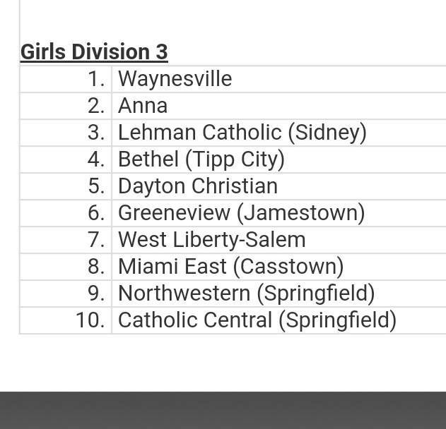 BethelBeesGSOC's tweet photo. The girls moved up to #4 in the polls this week! https://t.co/mgOhqJuJ2p