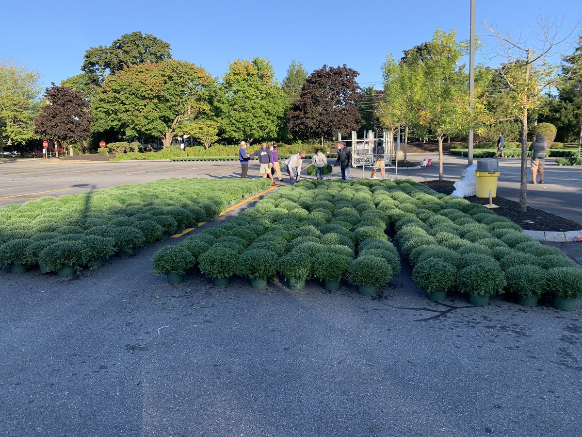 Cheverus_Stags's tweet photo. Today was a huge success! Thank you to all the players &amp; parents who volunteered at our Annual Fall Mums Fundraiser! Over 3,000 mums sorted, sold and delivered. A special shout out to Mrs. Heinzman, Mrs. Hoglund and the boys soccer team who all spent numerous hours volunteering! https://t.co/sKY5xpzzXX