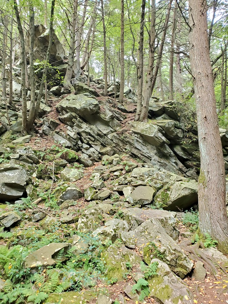 Yasha Duggal, PhD tweet media