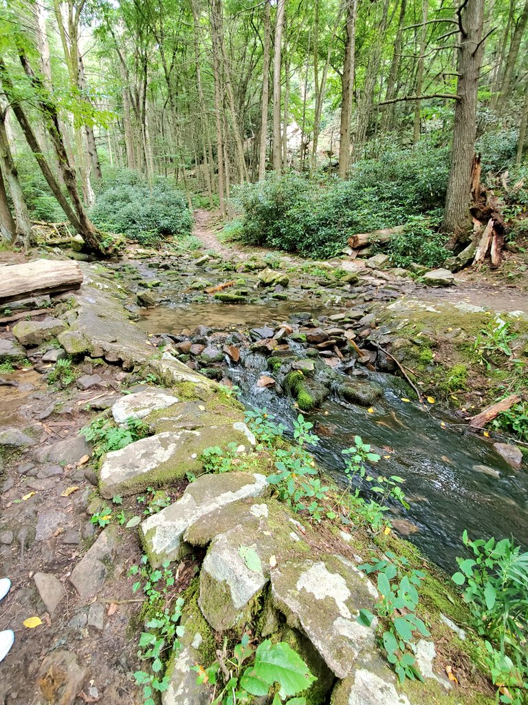 Yasha Duggal, PhD tweet media