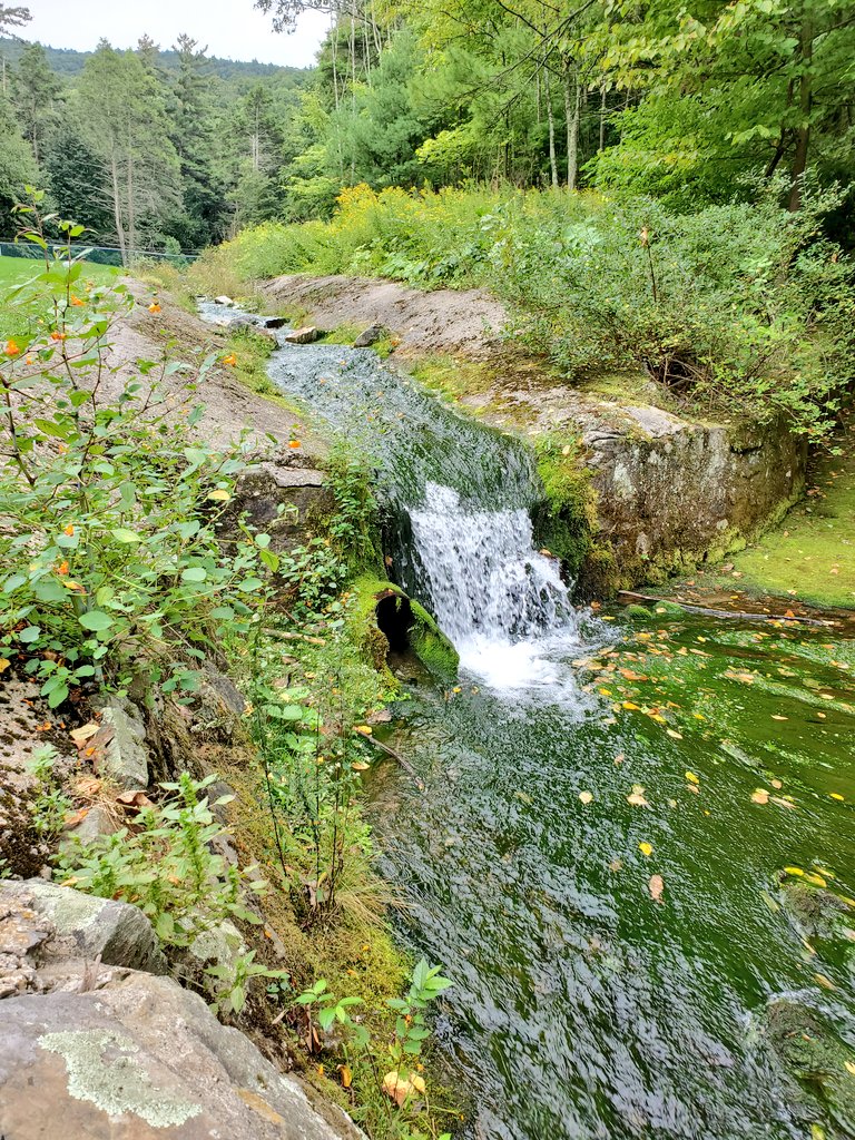 Yasha Duggal, PhD tweet media