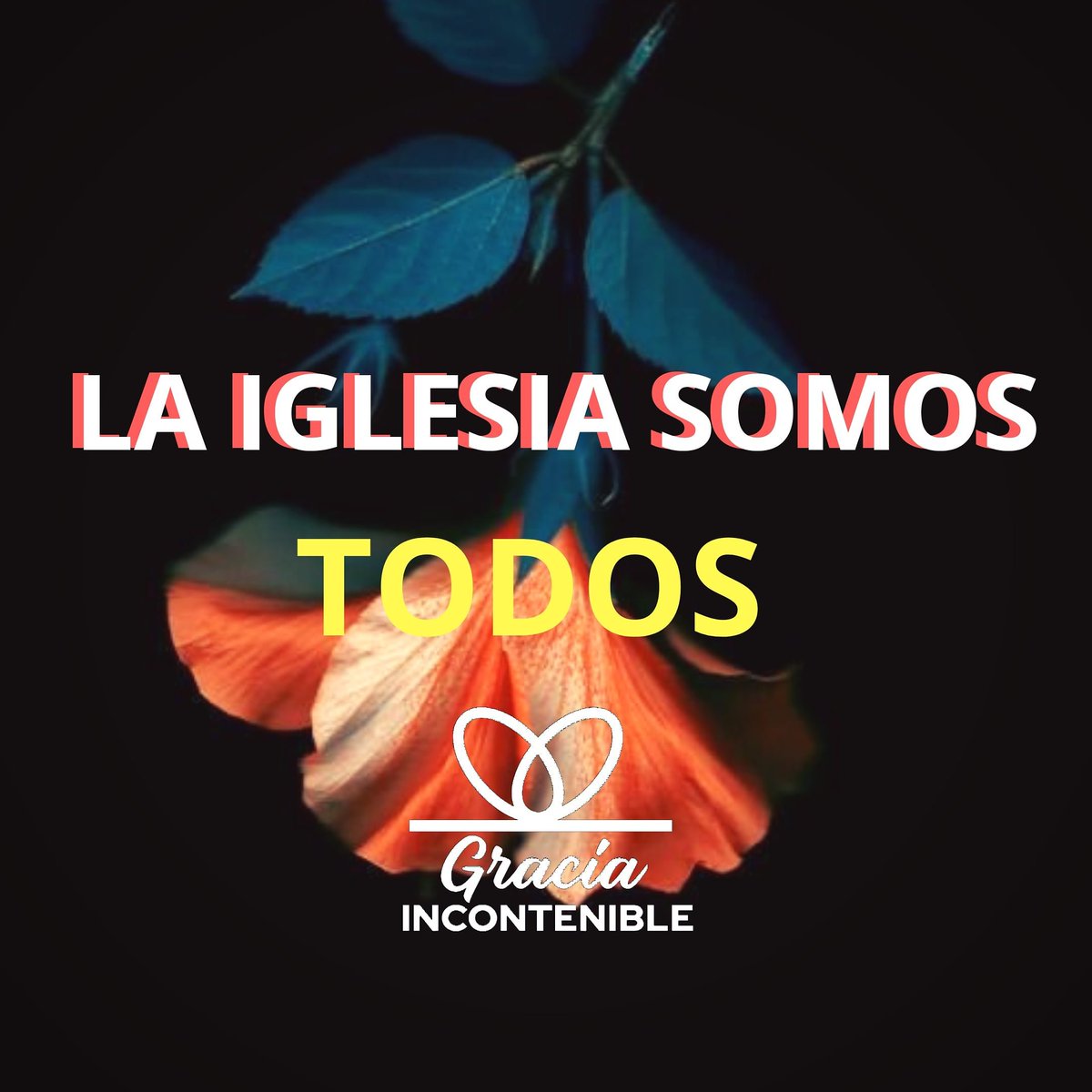 CdpcN's tweet photo. Cuando la iglesia se congrega Dios se manifiesta.
#juntosSomosMejores #GraciaIncontenible #Amamos #Creamos #Inspiramos https://t.co/xSdfRHuWob